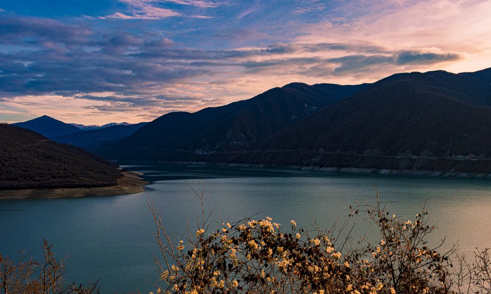 Photograph by Alex Kalpus