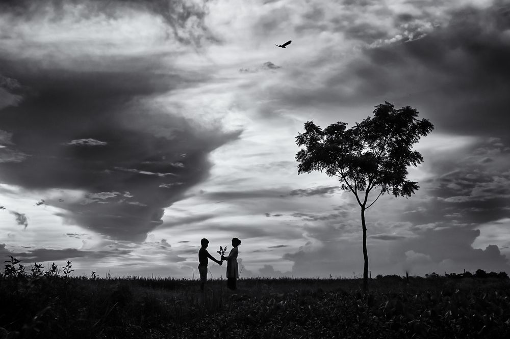 Photograph by Hossain S R