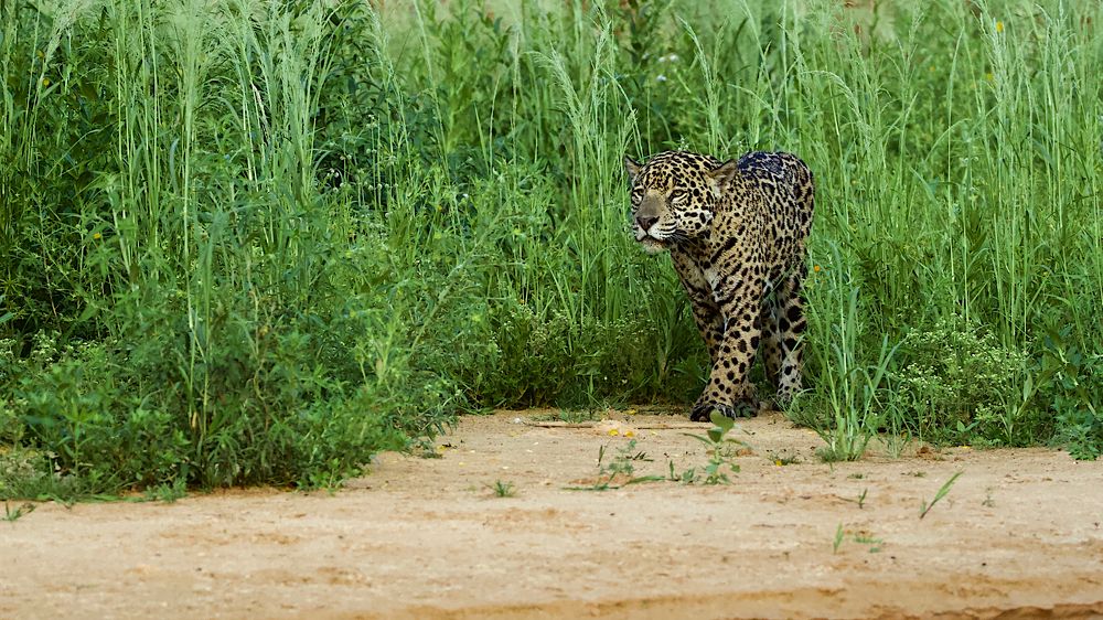 Photograph by Евгений