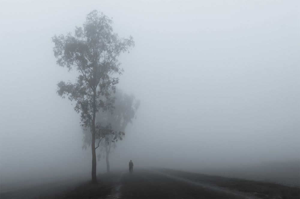 Photograph by Hossain S R