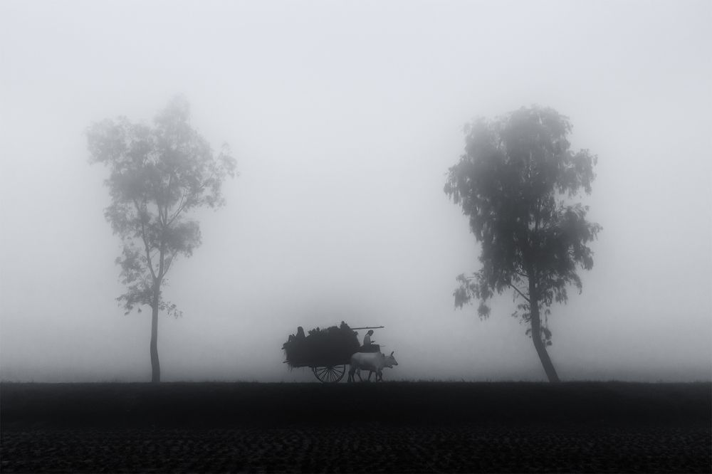 Photograph by Hossain S R