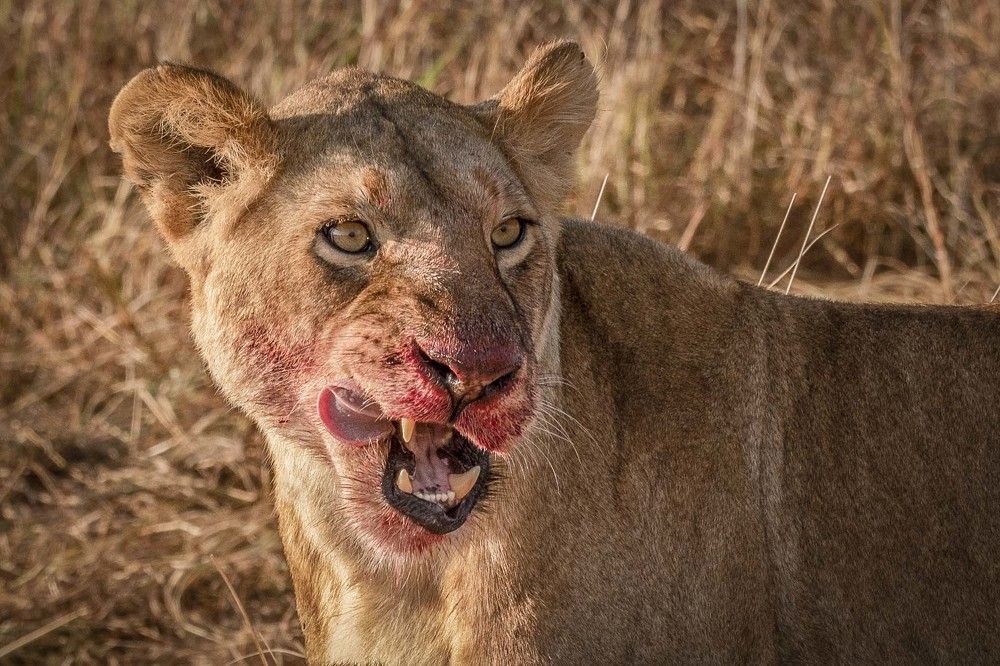 Photograph by NATALIA GOUSSEVA