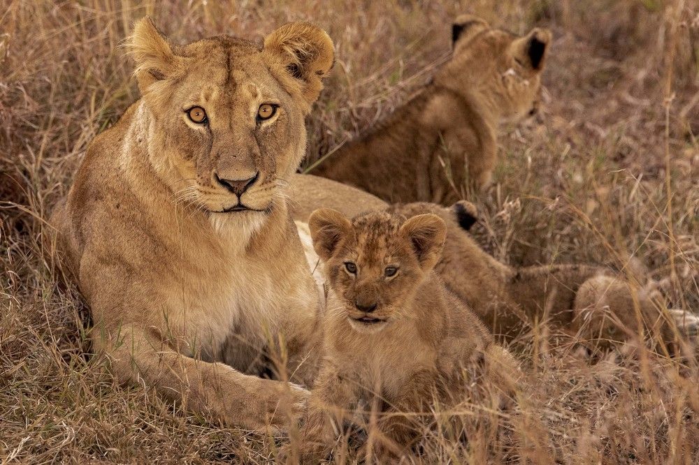 Photograph by NATALIA GOUSSEVA