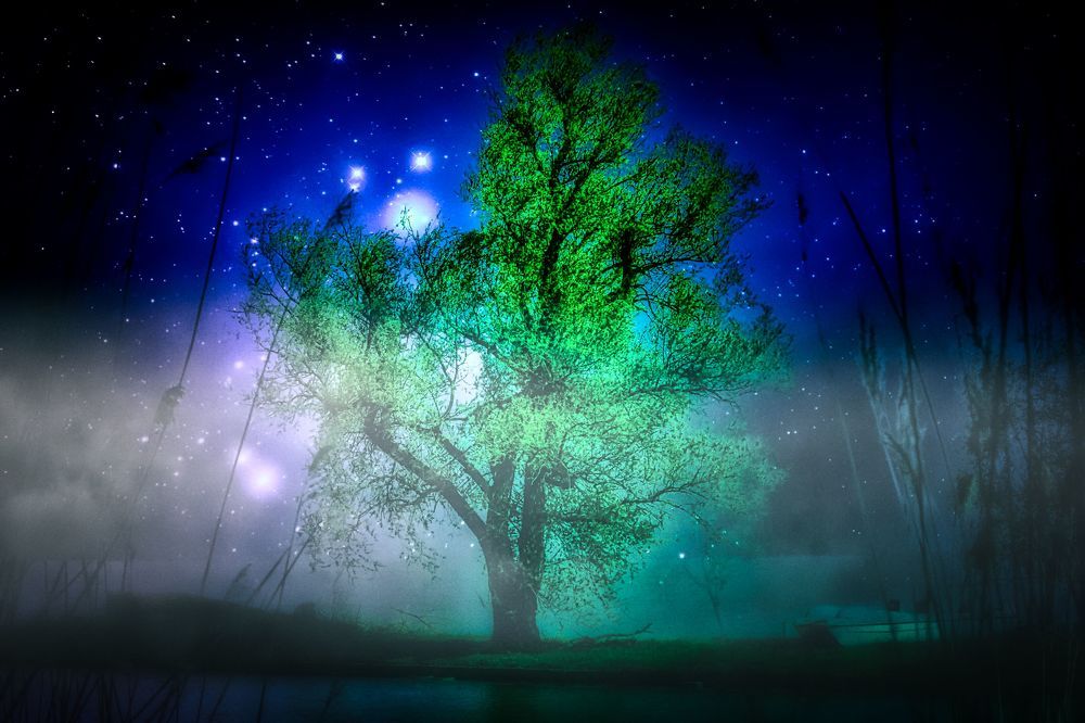 Photograph by Sandor Zoltan Gal