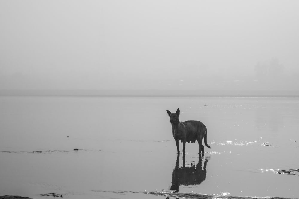 Photograph by Nouman nxb