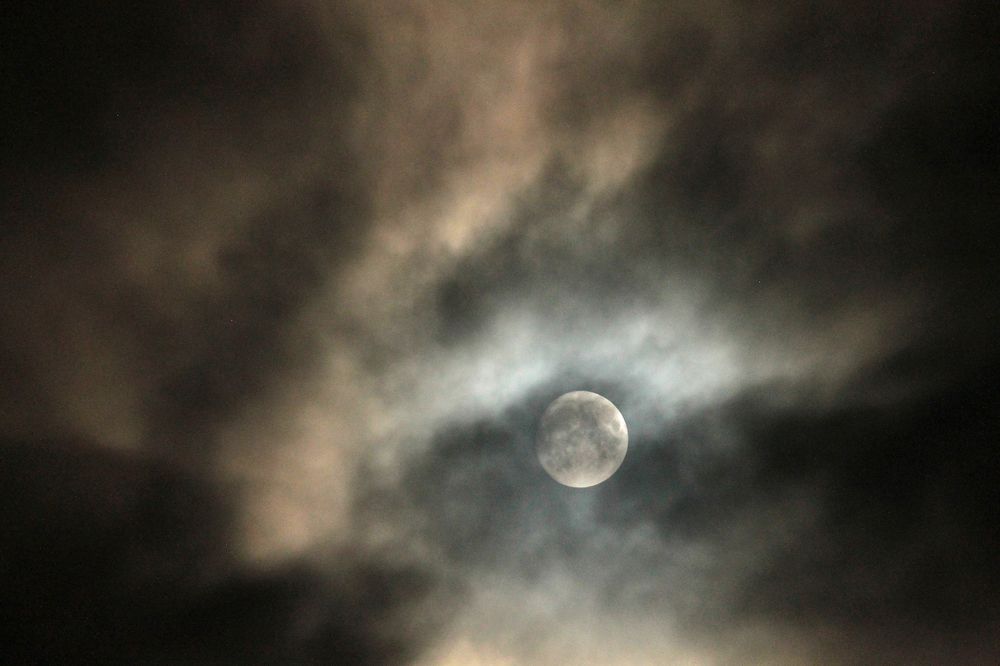 Photograph by Наталья Жигарева