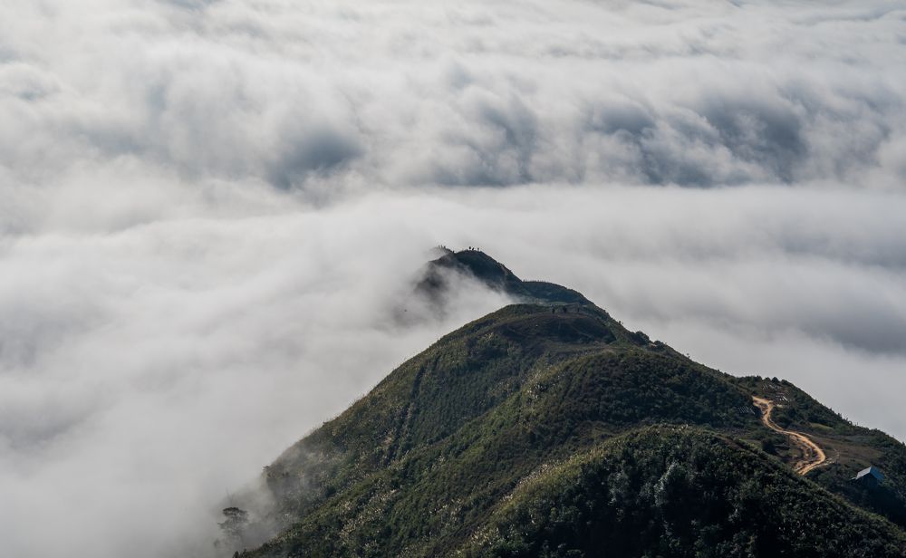 Photograph by son dam minh