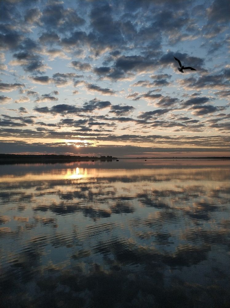 Photograph by Евгений Лямин