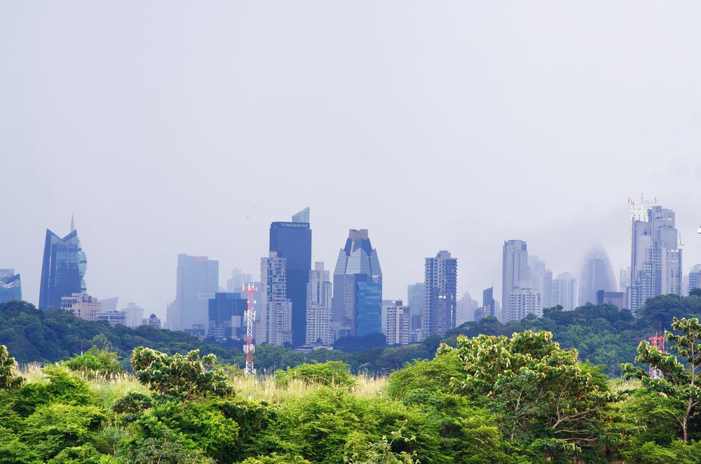 Фотография автора Андрей Неденко