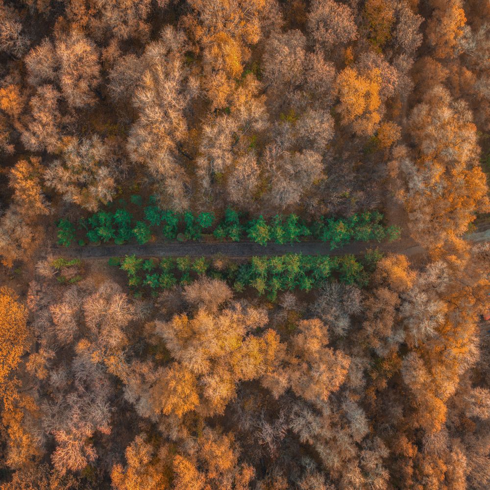 Photograph by Ислам Мирсаитов