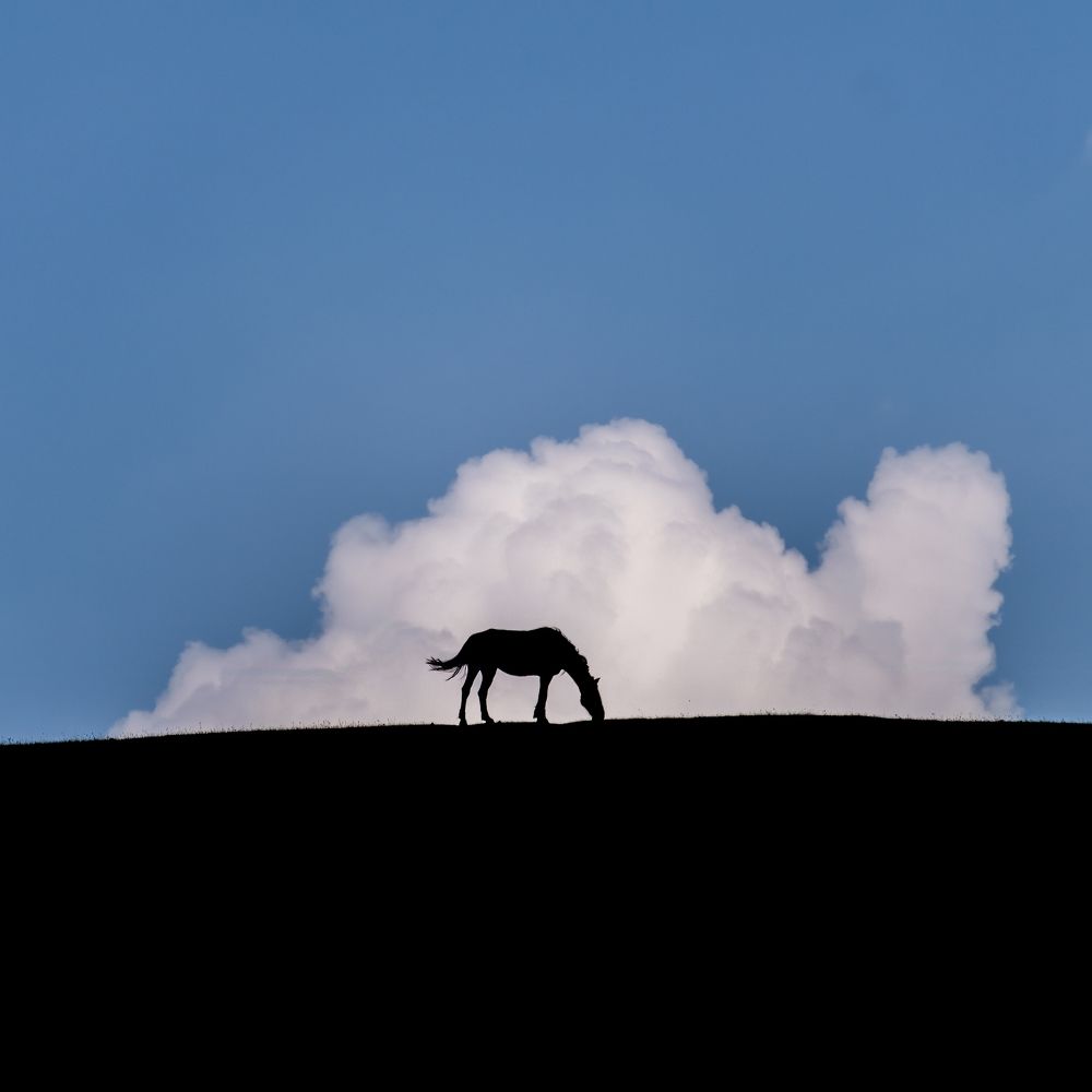 Photograph by Ислам Мирсаитов