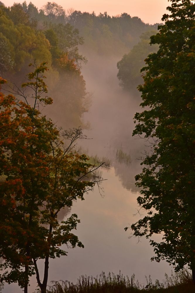 Photograph by Ирина Алексеева