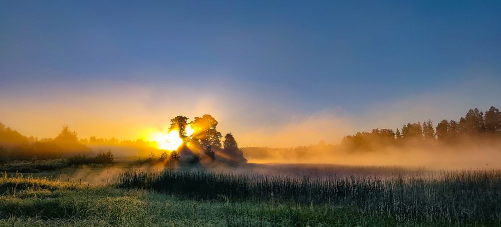 Photograph by Елена Васильева