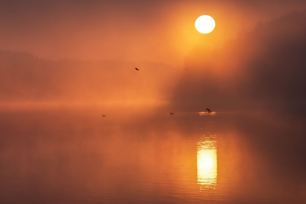 Photograph by Владимир Штыриков