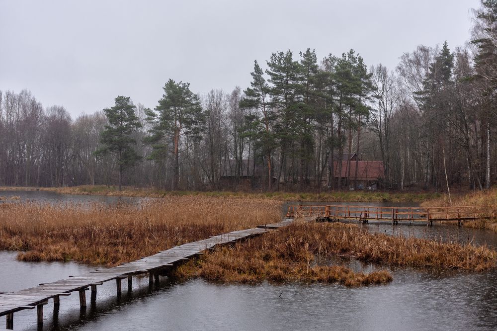 Photograph by Елена Стещенко