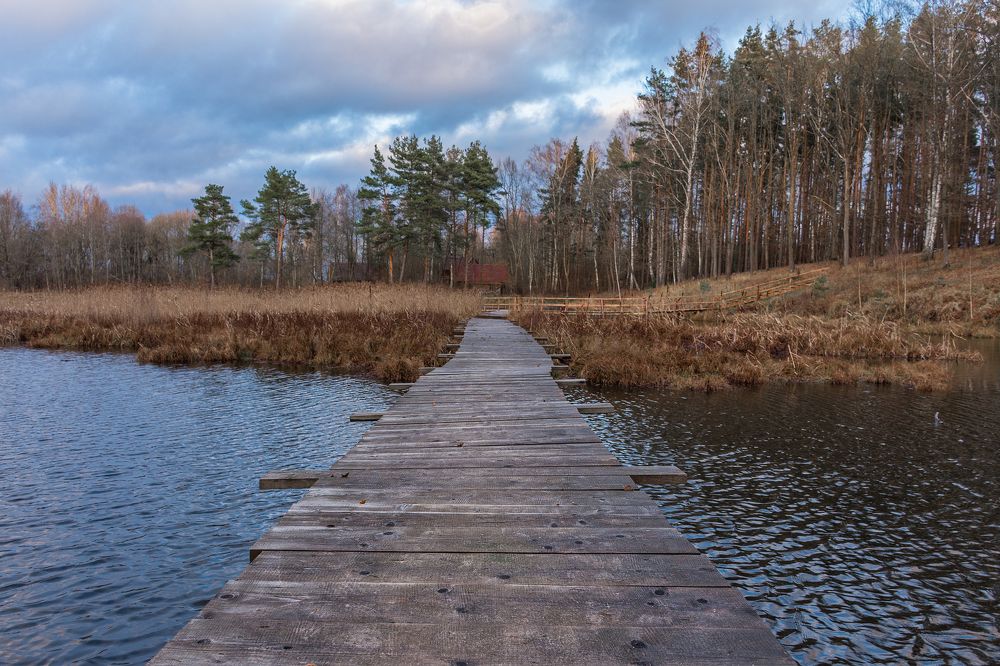 Photograph by Елена Стещенко