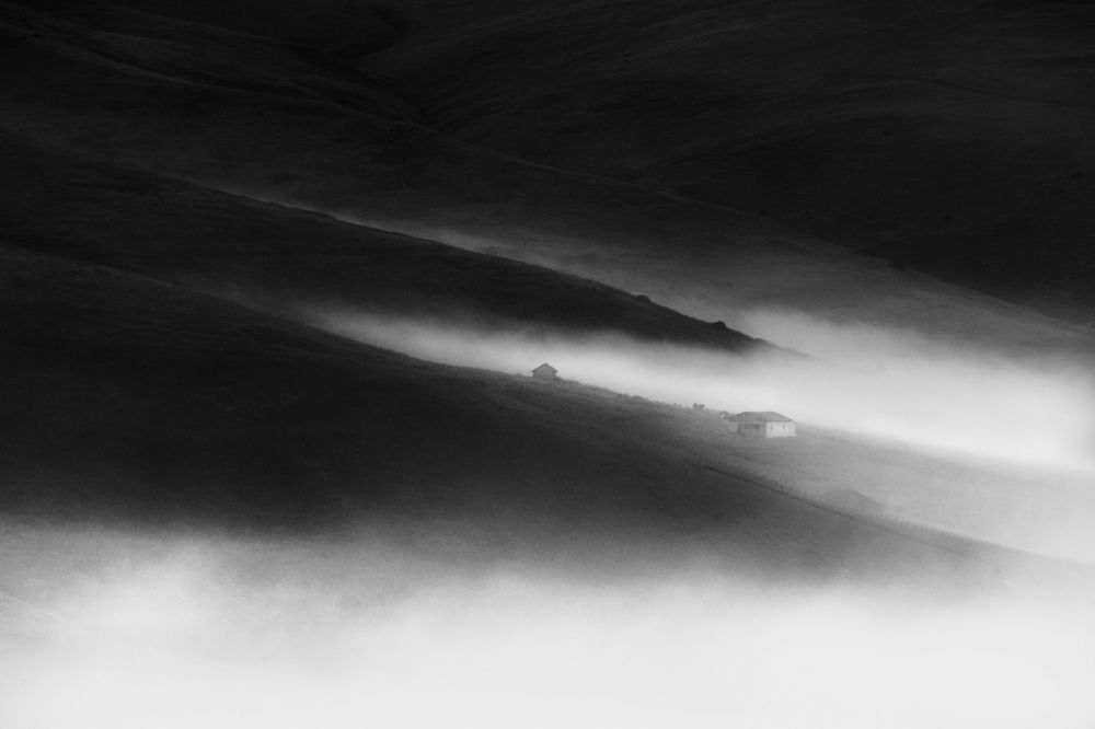 Photograph by Parsa Kamali