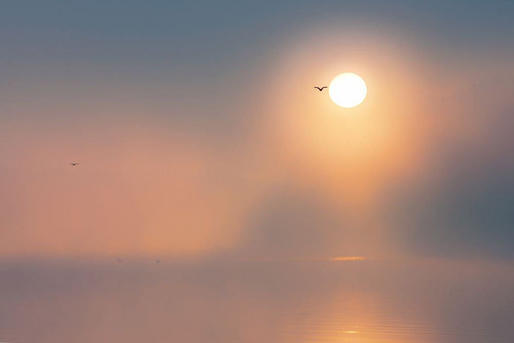 Photograph by Владимир Штыриков