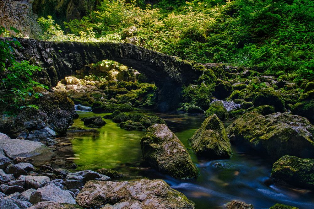 Rakov Škocjan gorge