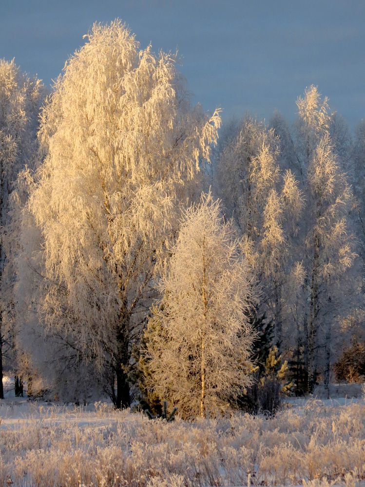 Photograph by Майя Синичкина