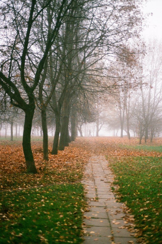 Фотография автора Никита Русецкий