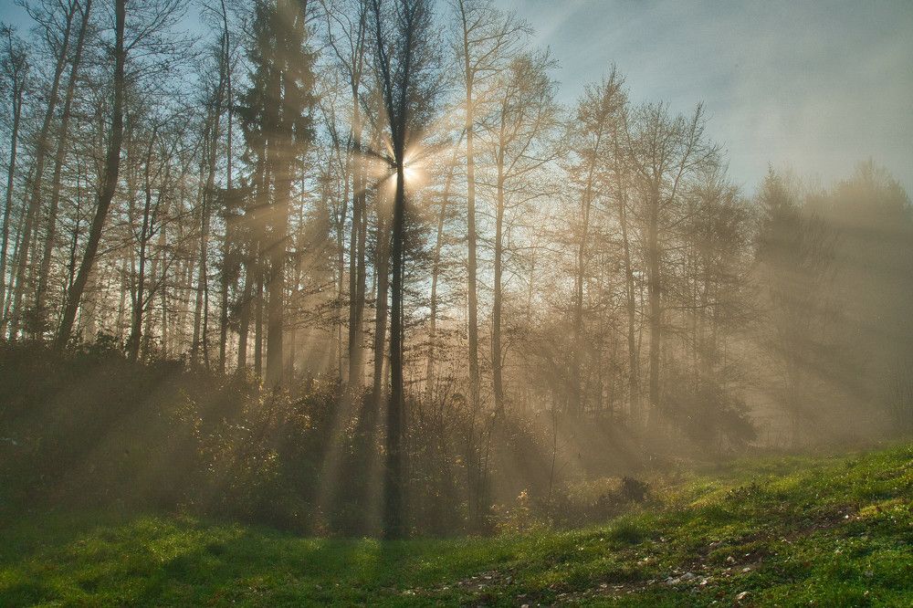 Photograph by Boštjan