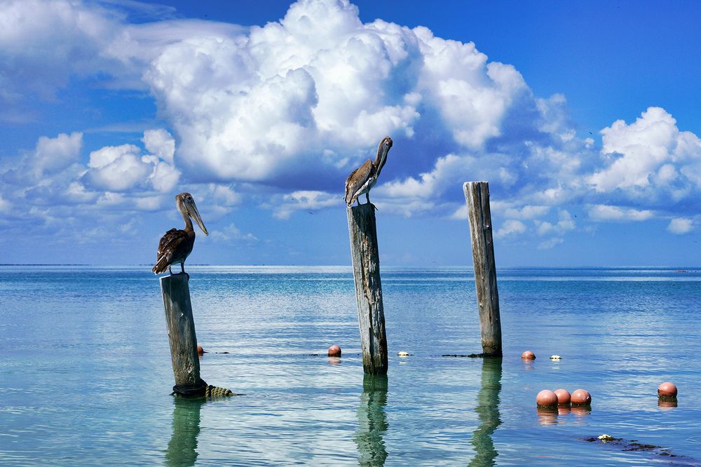 Photograph by Михаил Баевский