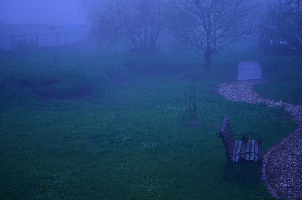 Photograph by Андрей Постников