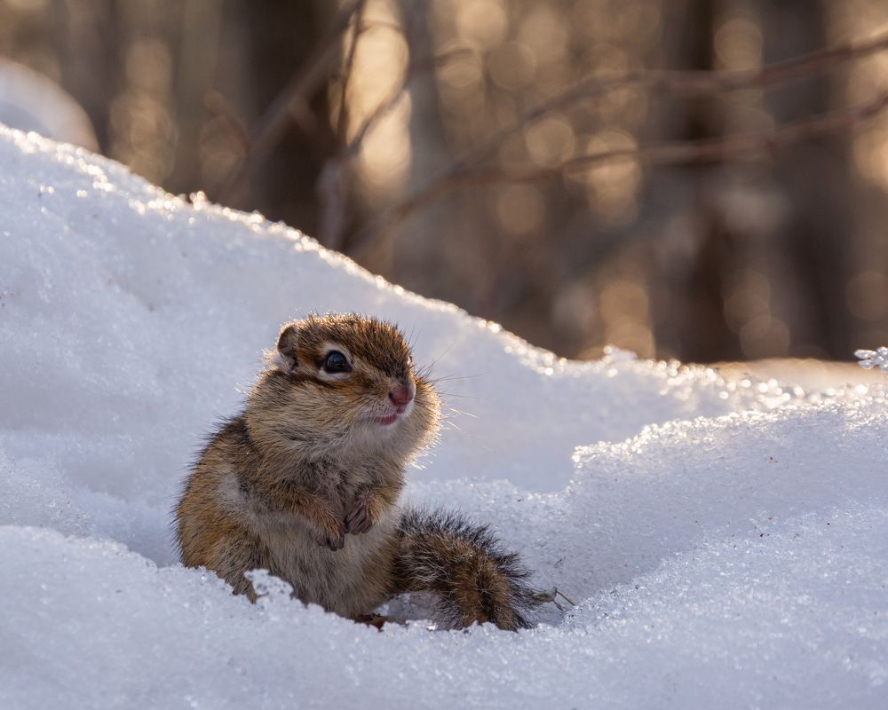 Приятная встреча