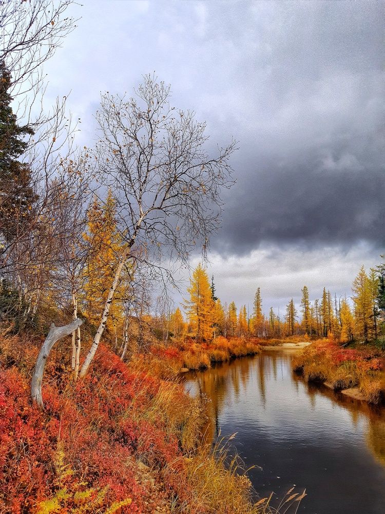 Фотография автора Савченко Наталия