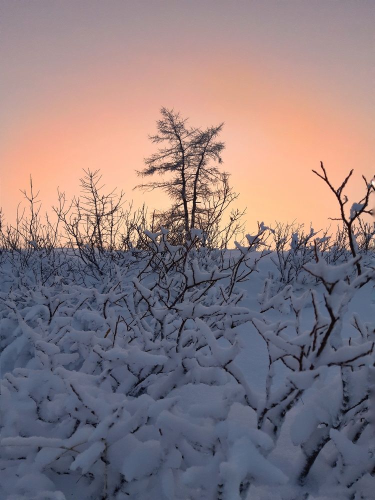 Фотография автора Савченко Наталия