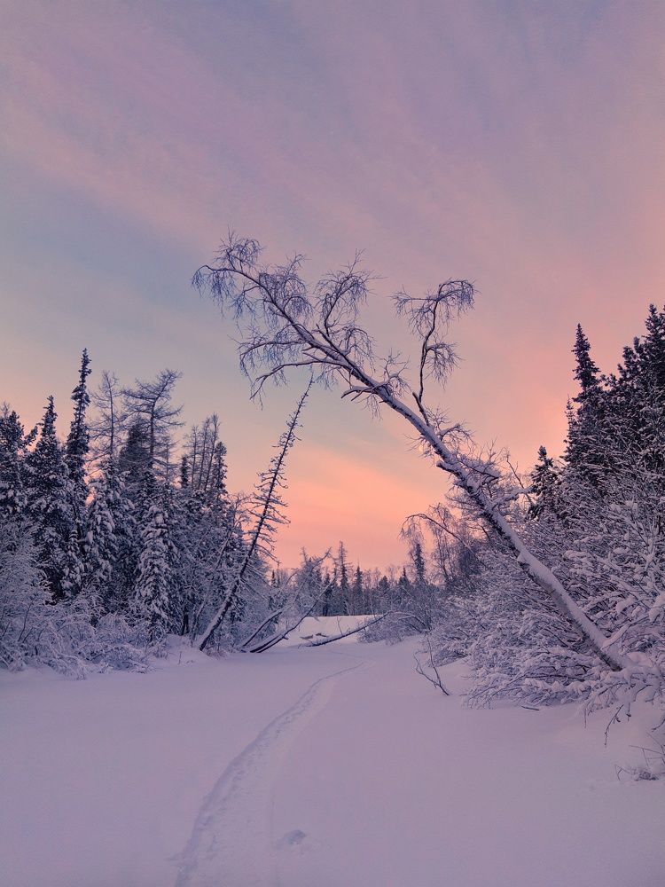 Фотография автора Савченко Наталия