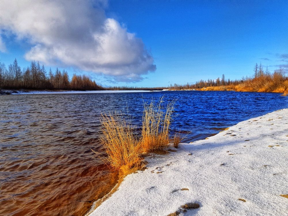 Фотография автора Савченко Наталия