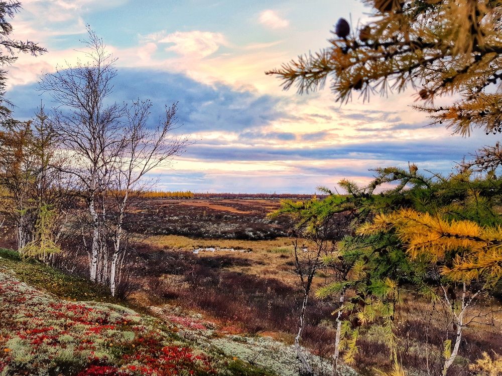 Фотография автора Савченко Наталия