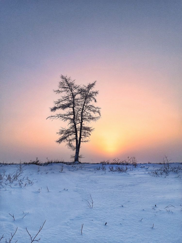 Фотография автора Савченко Наталия