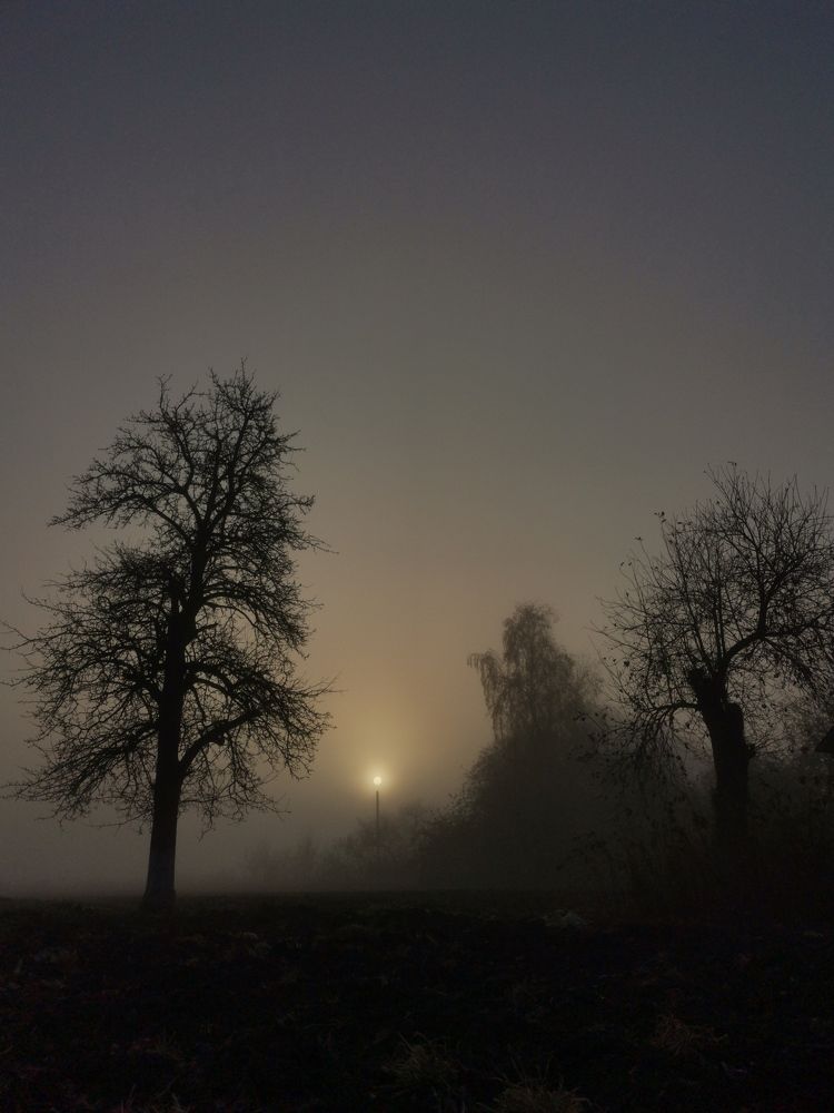 Фотография автора Valeryia Shkoda