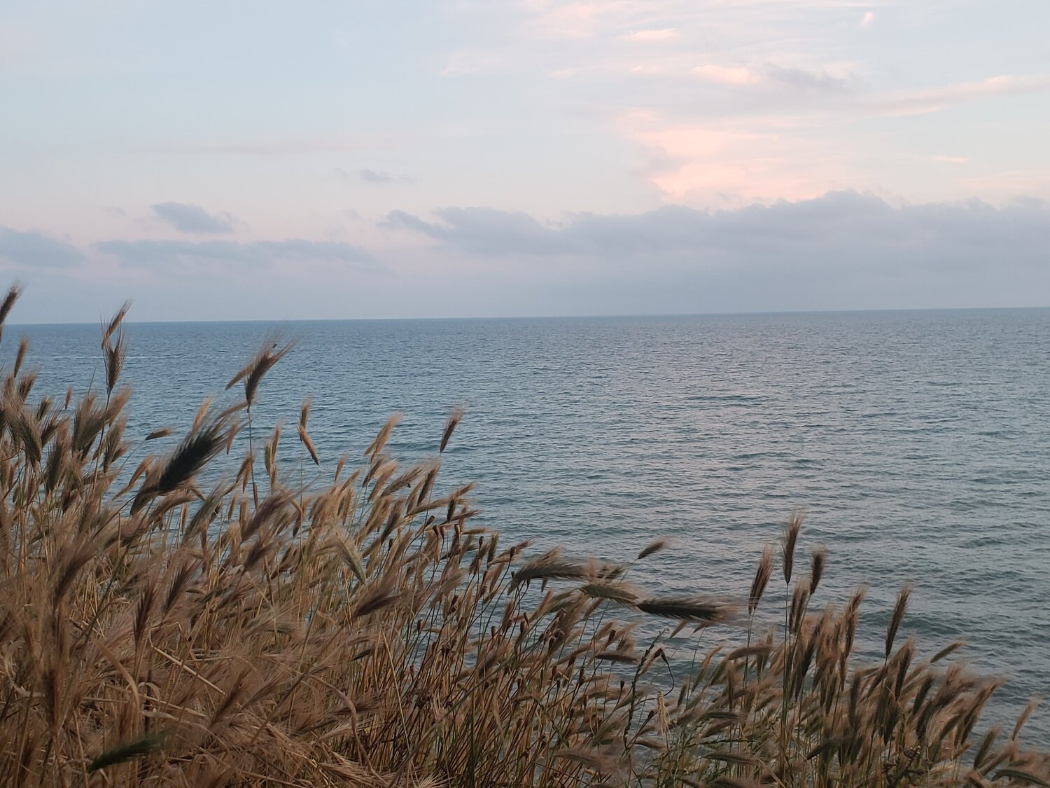 Photo #6800520