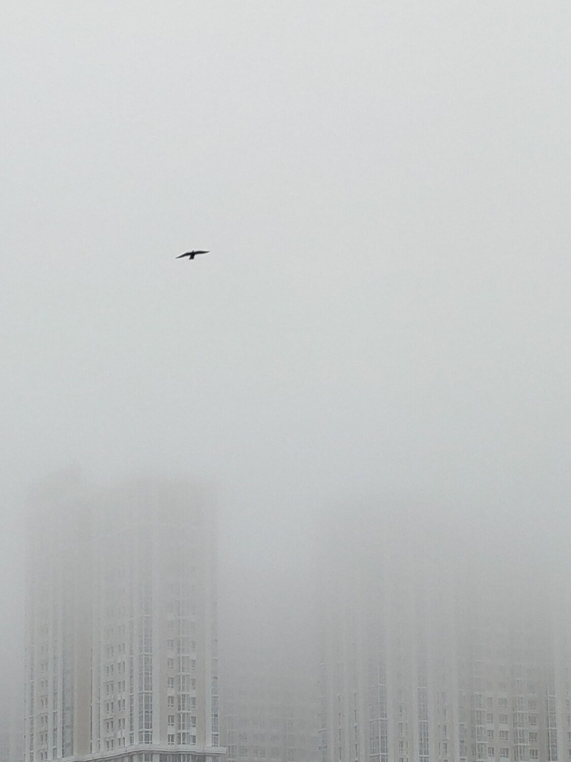Photo #6800535