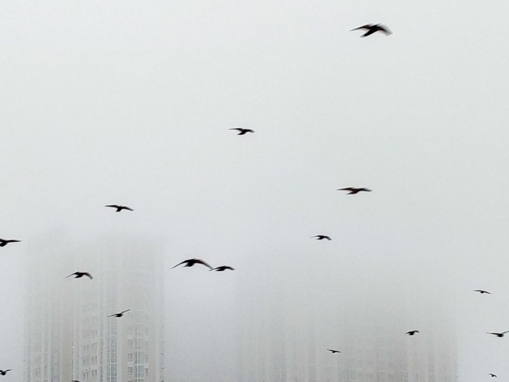 Photo #6800544