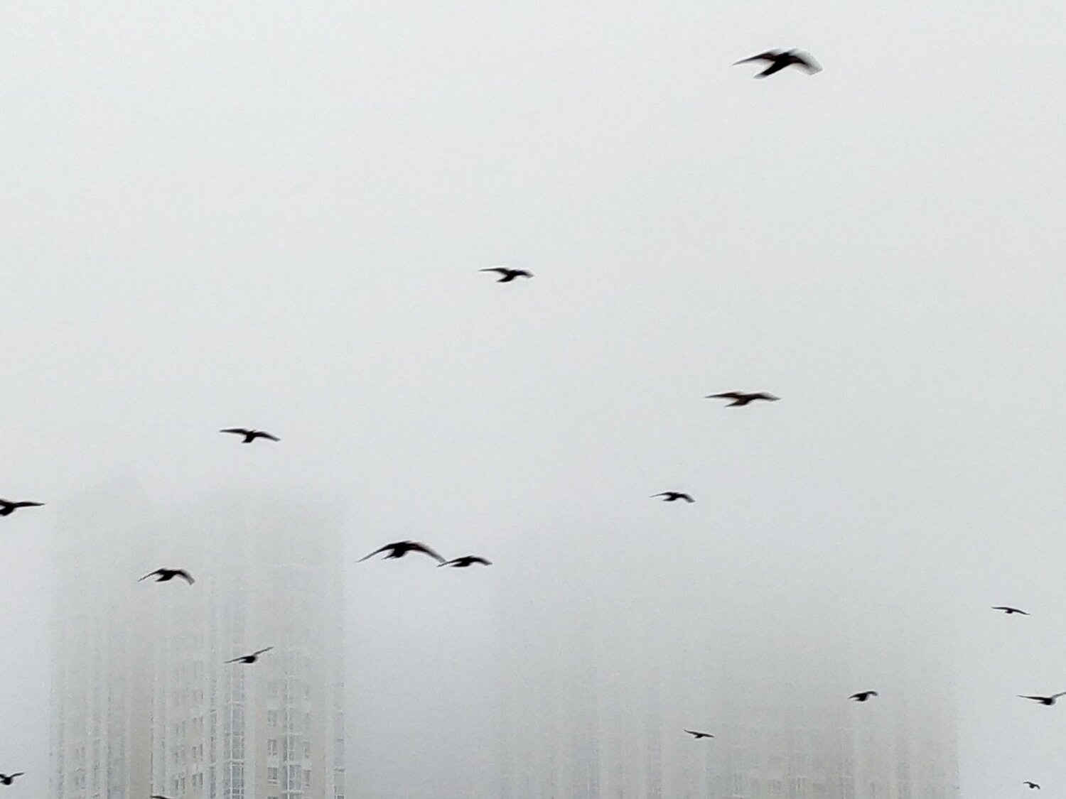 Photo #6800544