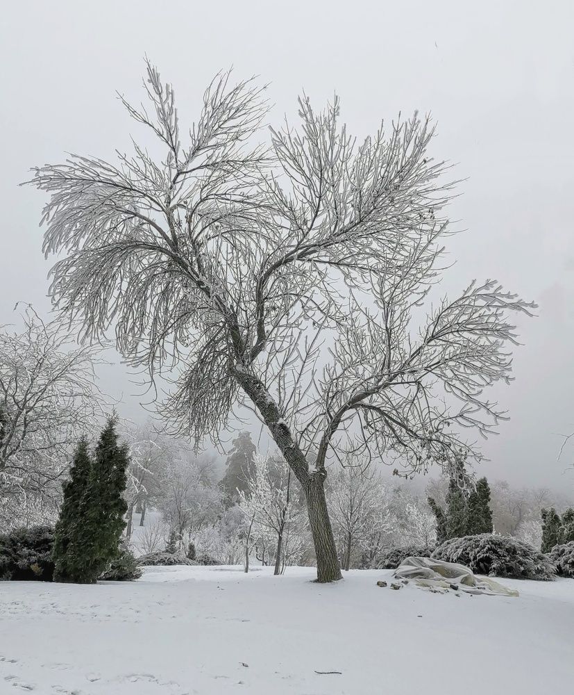 Photograph by Сергей Коняшин
