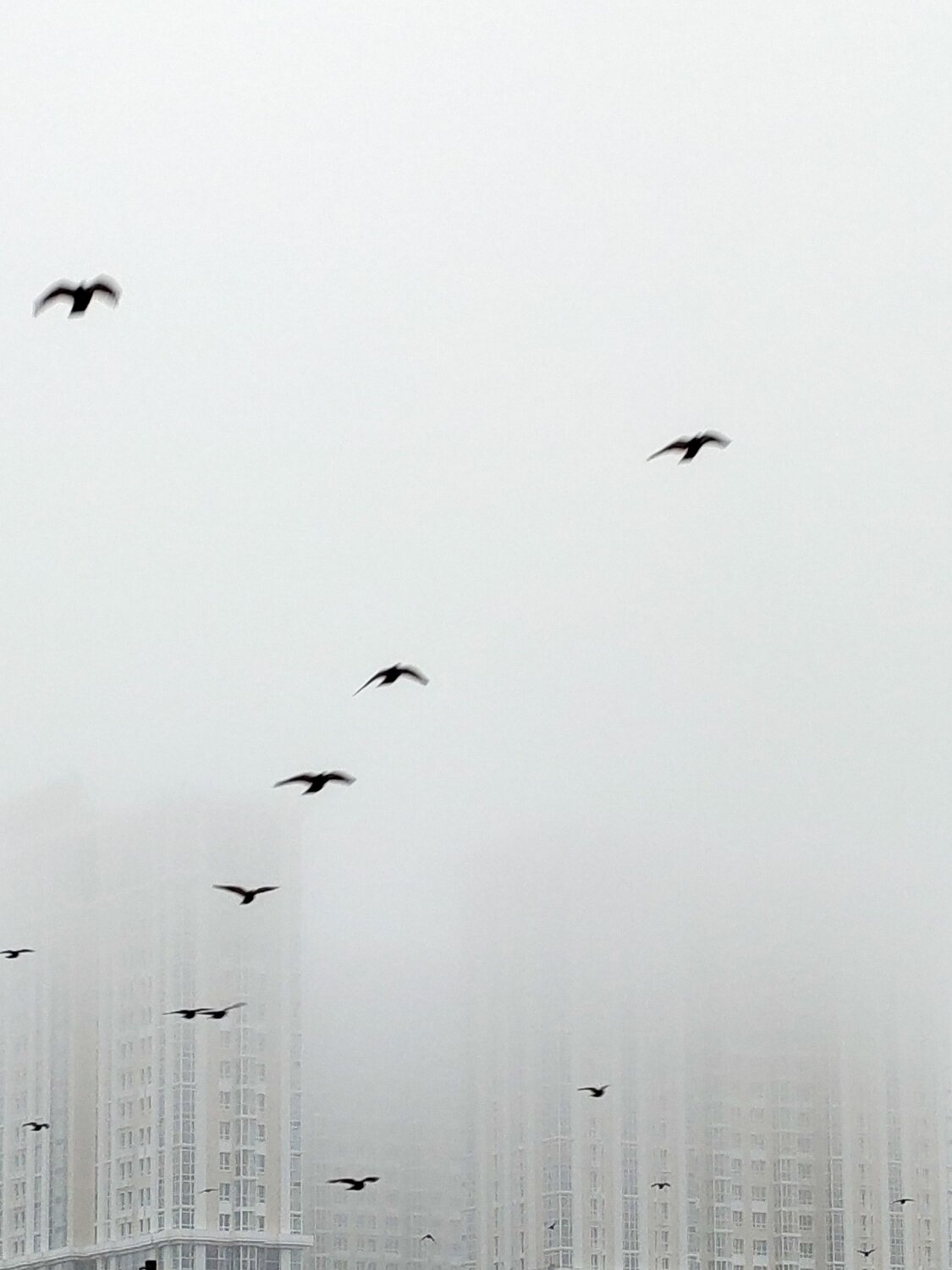 Photo #6800550