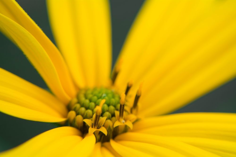 Photograph by Басалыга Ангелина