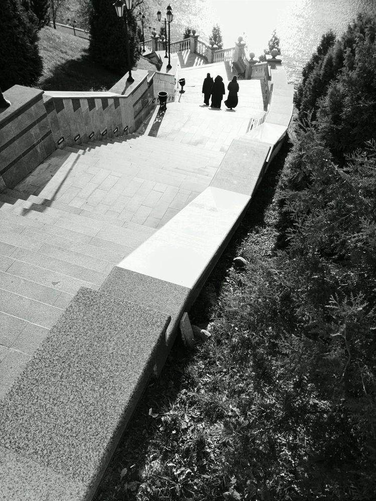 Photo #6800584