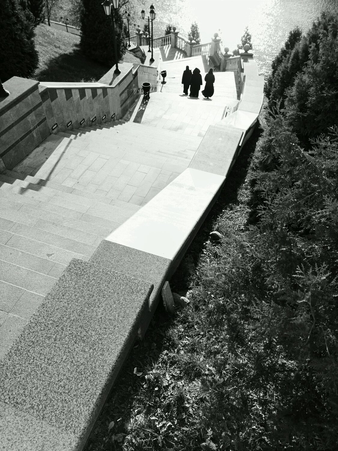 Photo #6800584