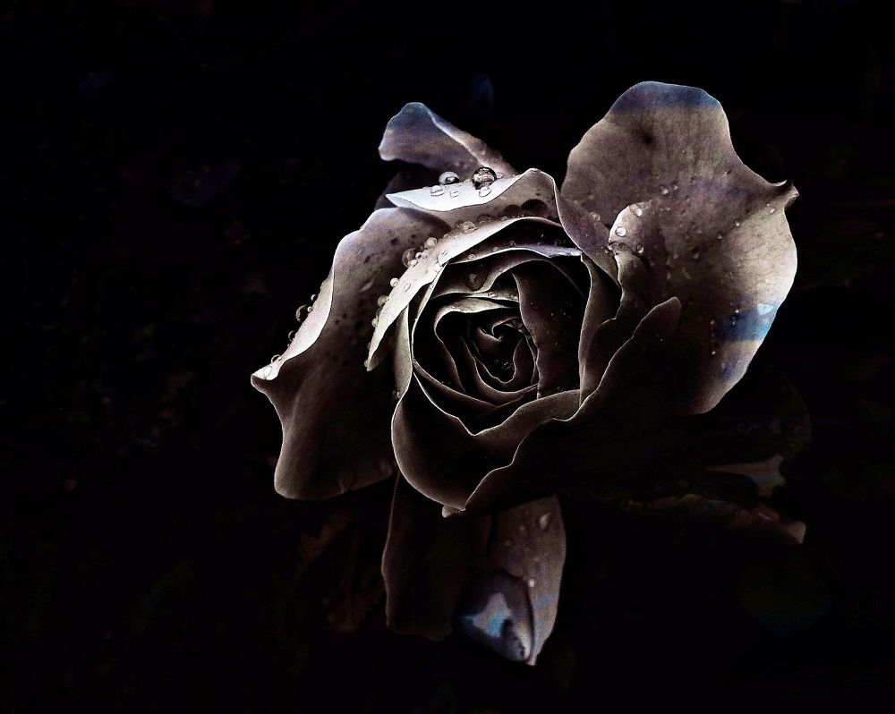 Photograph by Светлана Безъязычная