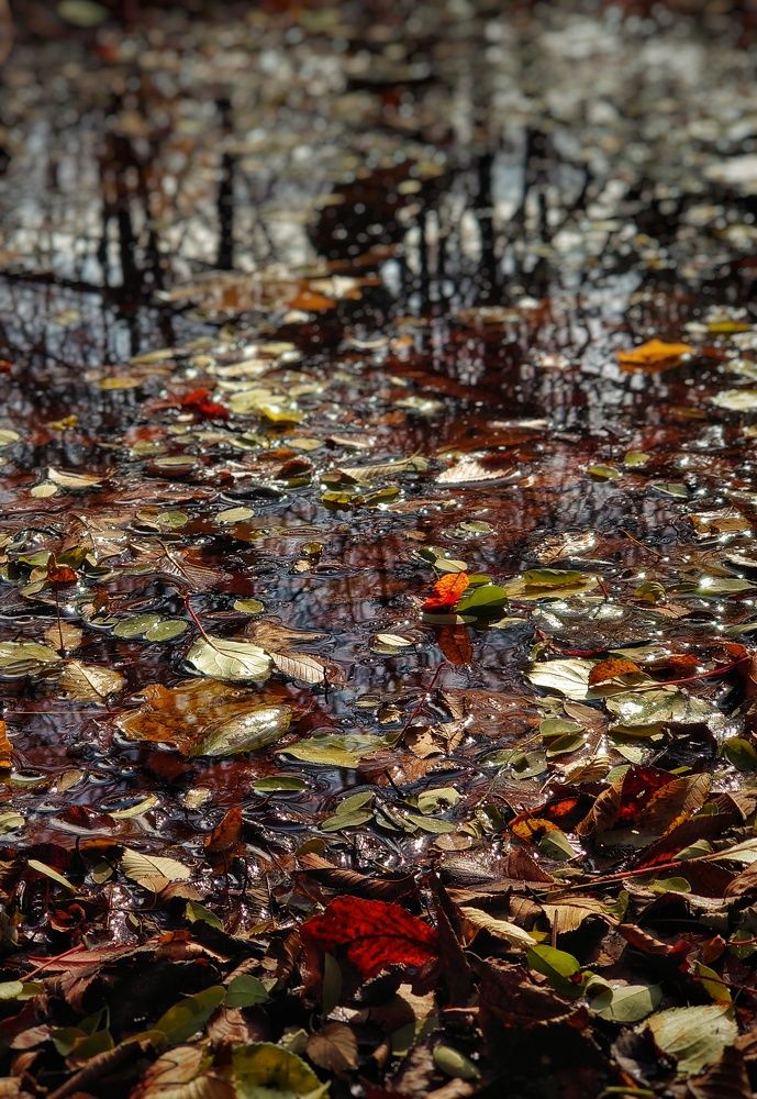 Photograph by Евгений Таращук