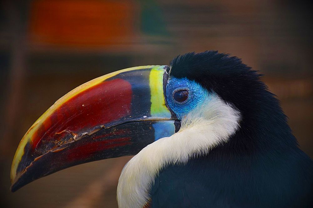 Photograph by Kostas Rammos