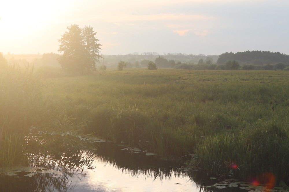 Photograph by Родосская Нонна
