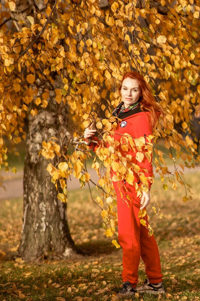 Фотография автора Николай Нестеренко